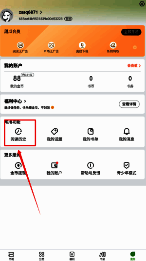 阅读历史页面展示多部小说记录，包含封面图与最近阅读章节信息