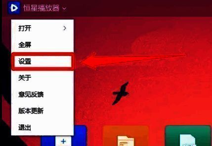 恒星播放器下拉菜单截图，设置选项被红框标注