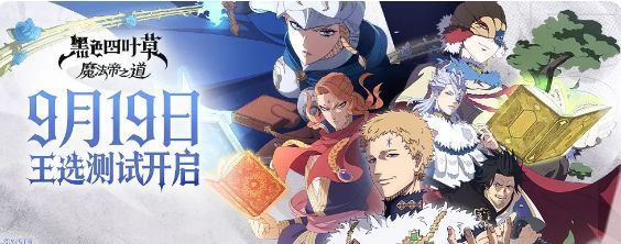 游戏内兑换码输入界面截图，显示已成功兑换VIP6666礼包，获得黑水晶与金币奖励