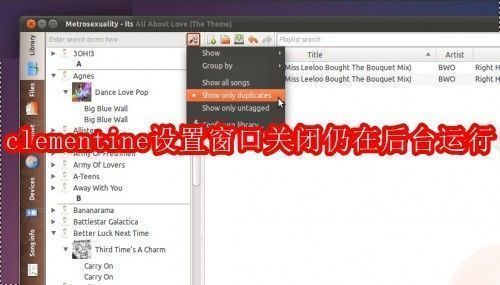 clementine播放器主界面展示，界面简洁清晰，左侧为音乐库列表，右侧为正在播放的歌曲信息