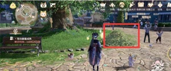 玩家角色手持相机站在园艺房外，夜幕降临，灯光柔和，植物散发微光，准备进行拍摄