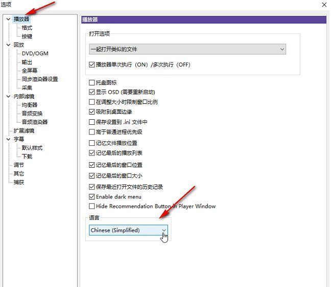 KMPlayer设置界面中‘播放器’栏目下的语言选项位置特写