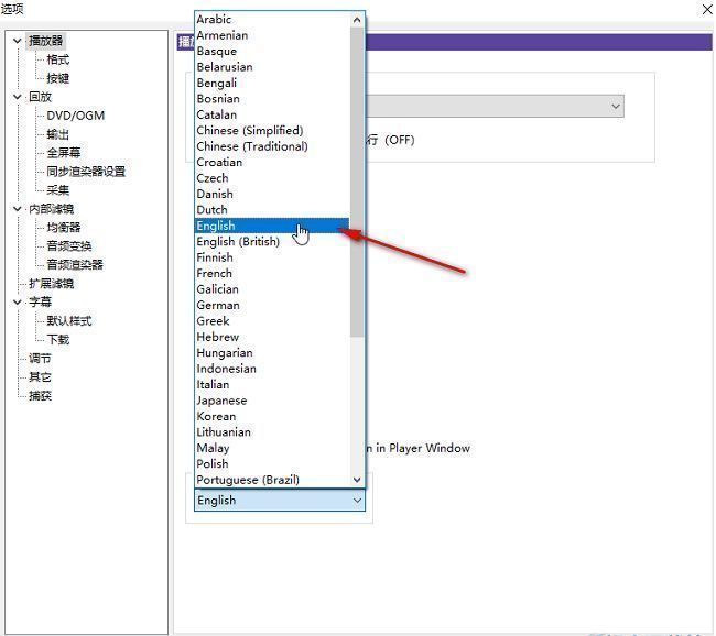 语言选择下拉框中突出显示‘简体中文’选项的画面截图