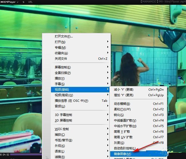 KMPlayer设置界面中‘镜像图像’选项被选中的截图