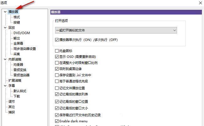 KMPlayer设置窗口左侧栏显示‘播放器’选项被选中，右侧为对应设置内容