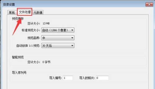目录设置窗口中‘文件处理’选项卡被选中，显示相关配置项的界面