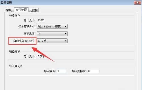 ‘自动放弃1:1预览’选项位置突出显示，旁边有下拉箭头