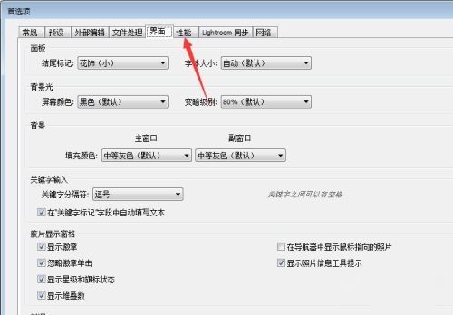 性能选项卡页面展示，包含可用内存、磁盘缓存等信息
