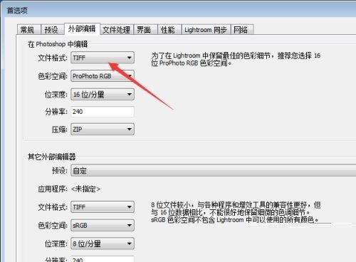Lightroom首选项窗口中外部编辑选项卡内的文件格式设置区域截图