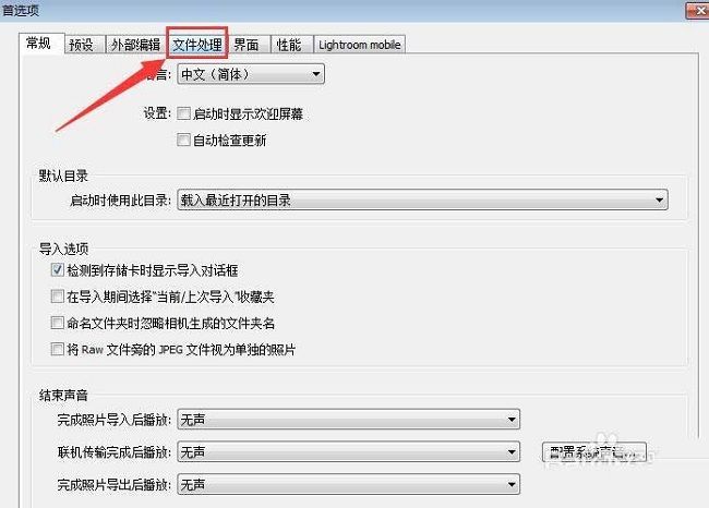 Lightroom首选项窗口中‘文件处理’选项卡被激活的界面截图