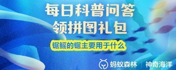支付宝神奇海洋9月23日答题界面截图，显示问题‘锯鳐的锯主要用于什么’及选项