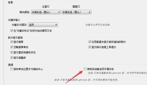 界面设置中，'使用首选项平滑字体'复选框已被勾选