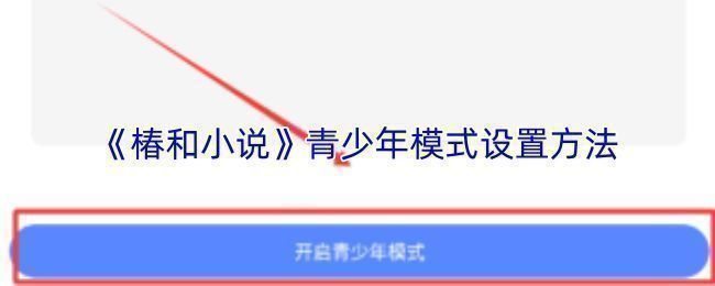 椿和小说APP界面展示，主页面清晰显示个人中心与功能入口