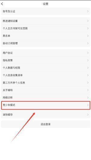 设置页面详情图，明确标注青少年模式开关所在位置