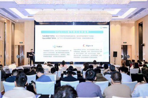 ToBid聚合商业化总监王安杰展示广告收益增长曲线与优化策略图表