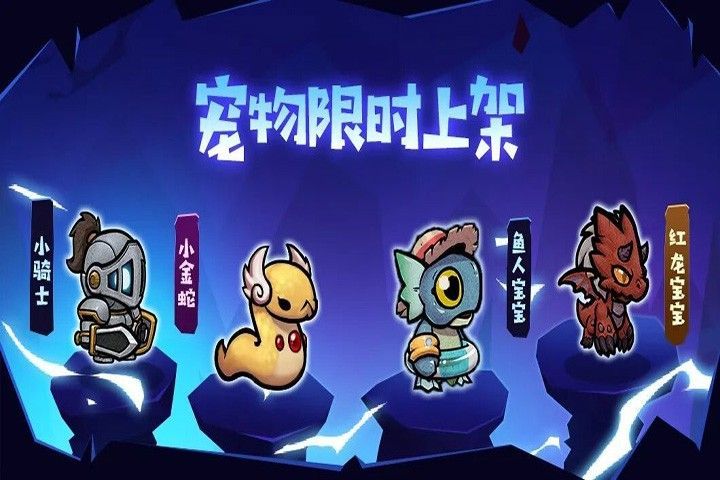 四只宠物并排站立，形态各异，红龙喷火、小骑士持盾，充满童趣氛围