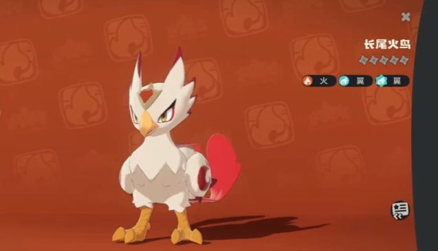 长尾火鸟从烈钻鸟进化而来的三阶段形象对比图，展示其火焰羽翼逐渐展开的华丽变化