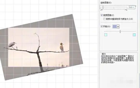 用户正在通过键盘微调和手动输入角度值进行图像矫正的过程截图