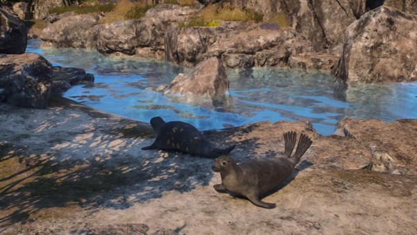 森林与丘陵交界处，一只狐狸警觉地望向镜头，背景是茂密树木与起伏地形