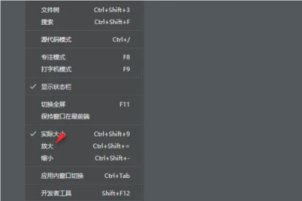 Typora‘视图’菜单展开状态，光标悬停在‘放大’选项上，清晰可见该功能位置