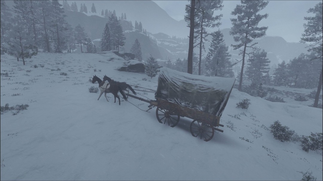 玩家角色在雪地中驾驶马车穿越峡谷，车顶覆盖积雪，周围树木挂满冰凌，环境细节极为写实