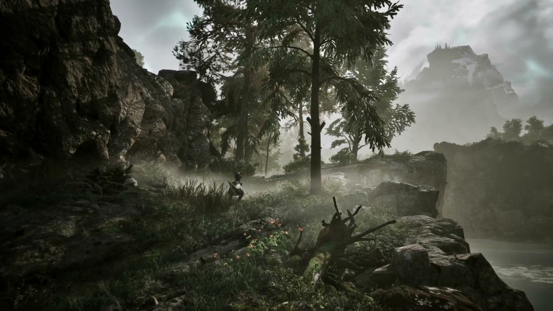 《哥特王朝：重制版》角色特写镜头，身着厚重链甲与毛皮护肩，面部胡须纹理清晰可见，背景呈现阴郁森林环境