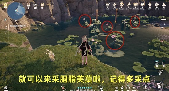 九华监后山池塘实景截图：碧水映天，数株盛开的胭脂芙蕖浮于水面，花瓣呈渐变粉红色，花心泛金，周围有蝴蝶翩跹