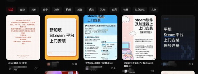 Steam商店页面截图：一款名为‘Steam上门安装’的服务商品页，背景为蓝色科技风UI，标题醒目，标价显示‘¥500–¥1000’，下方配有‘本地部署｜上门调试｜终身指导’等宣传标语