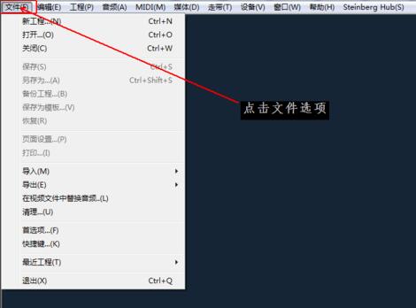 Cubase 5软件主界面截图，顶部为功能菜单栏，中央为轨道区域，左侧显示工程设置面板