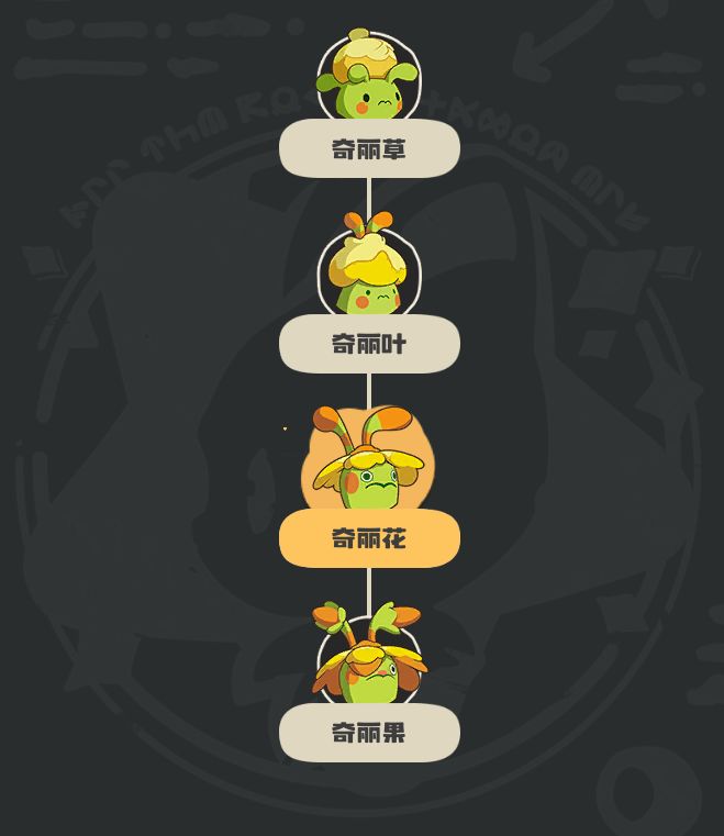 奇丽花进化树图解：左侧奇丽草（青绿嫩芽）、中间奇丽叶（舒展宽叶）、右侧奇丽花（盛开花朵）及最右奇丽果（硕大橙红果实挂于花茎顶端），箭头标注各阶段等级与进化条件