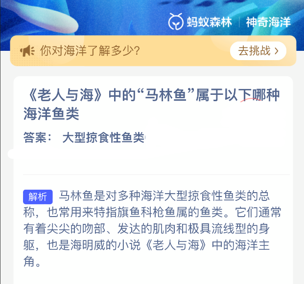 高清海洋生物解剖示意图：左侧为马林鱼侧视图，标注流线体型、镰刀状尾鳍、长吻结构；右侧为生态关系图，显示其位于食物链顶端，下方依次为金枪鱼、沙丁鱼群与浮游生物