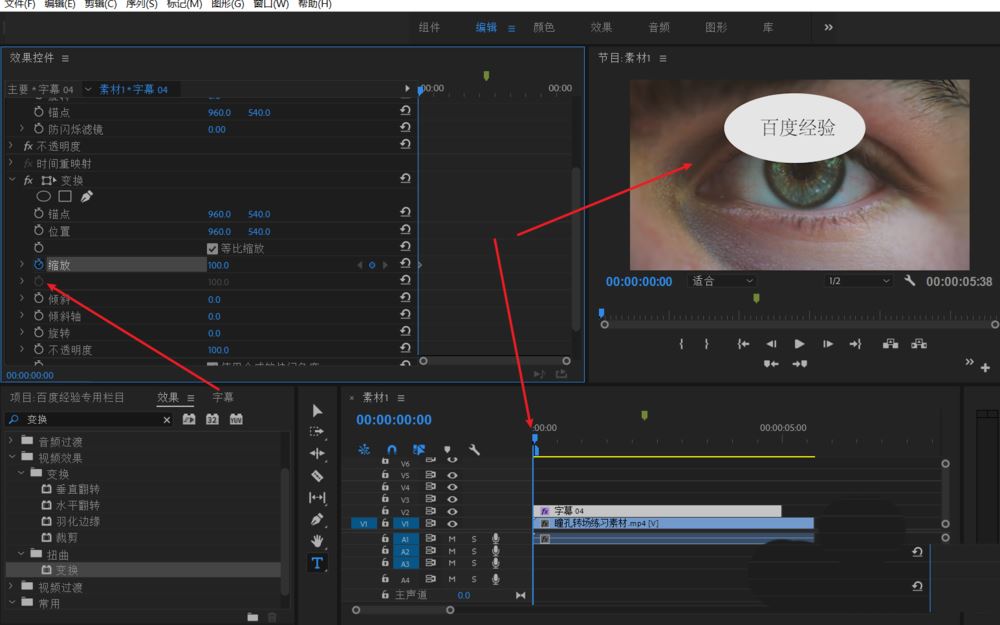 最终成片效果预览：黑色文字在椭圆背景上完成收缩动画，画面右下角叠加‘Premiere Pro 2024’版本水印