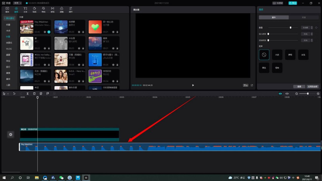 时间轴细节图：被选中的音频轨道呈现蓝色高亮边框，波形图清晰可见，光标悬停于波峰起始处
