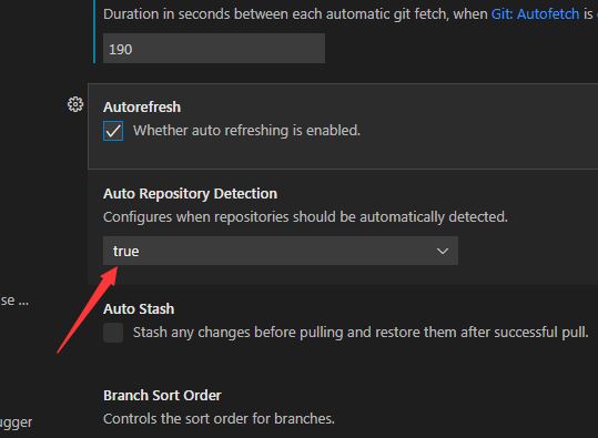 Git设置页中部清晰显示‘Auto Repository Detection’文字条目，右侧为下拉箭头图标