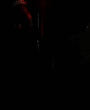 《新世界：暗影成双》demo