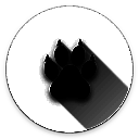 Amarok 官方安装入口 V0.8.2b4