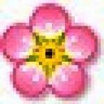 梅花英汉双语词典