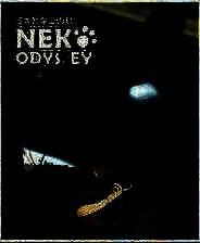 《美希与猫之岛》官方版