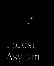 《森林疯人院2》官方版