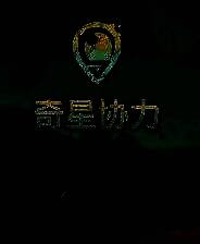 《奇星协力》 v1.0.3升级档+未加密补丁[TENOKE]