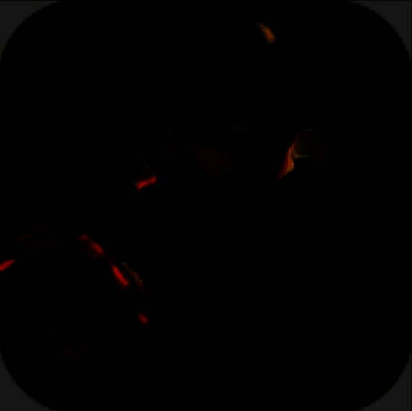 特种兵战场 V1.0.2