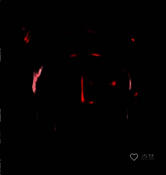 刷刀体质 5.0安装包 V5.0