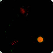 直到晨曦来临 最新版 V1.0