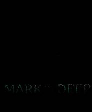 《深渊之印》 v1.0.0.0.4升级档+未加密补丁[RUNE]