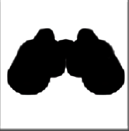 Soft4Boost Update Checker(应用程序更新软件)