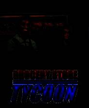 《杂货店大亨》免安装中文版