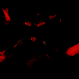 汽车人归来 安卓版 V1.0.0