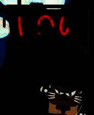 《萌爪派对：小镇时光》demo