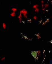 《万化江湖》demo