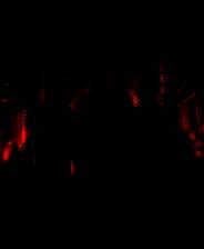 《罪恶帝国》官方版